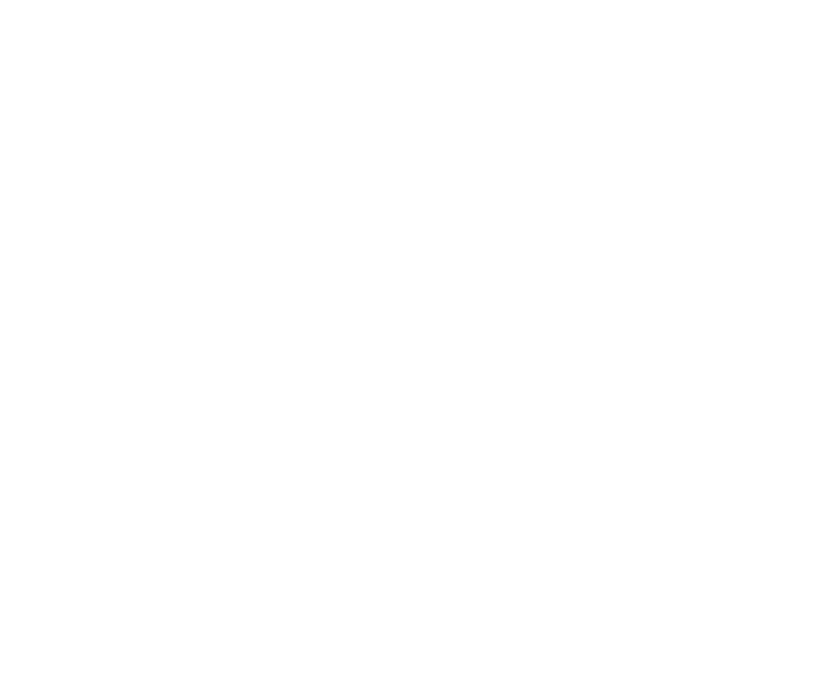 House Icon